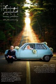 Sperm Whale: Roya’s Selection